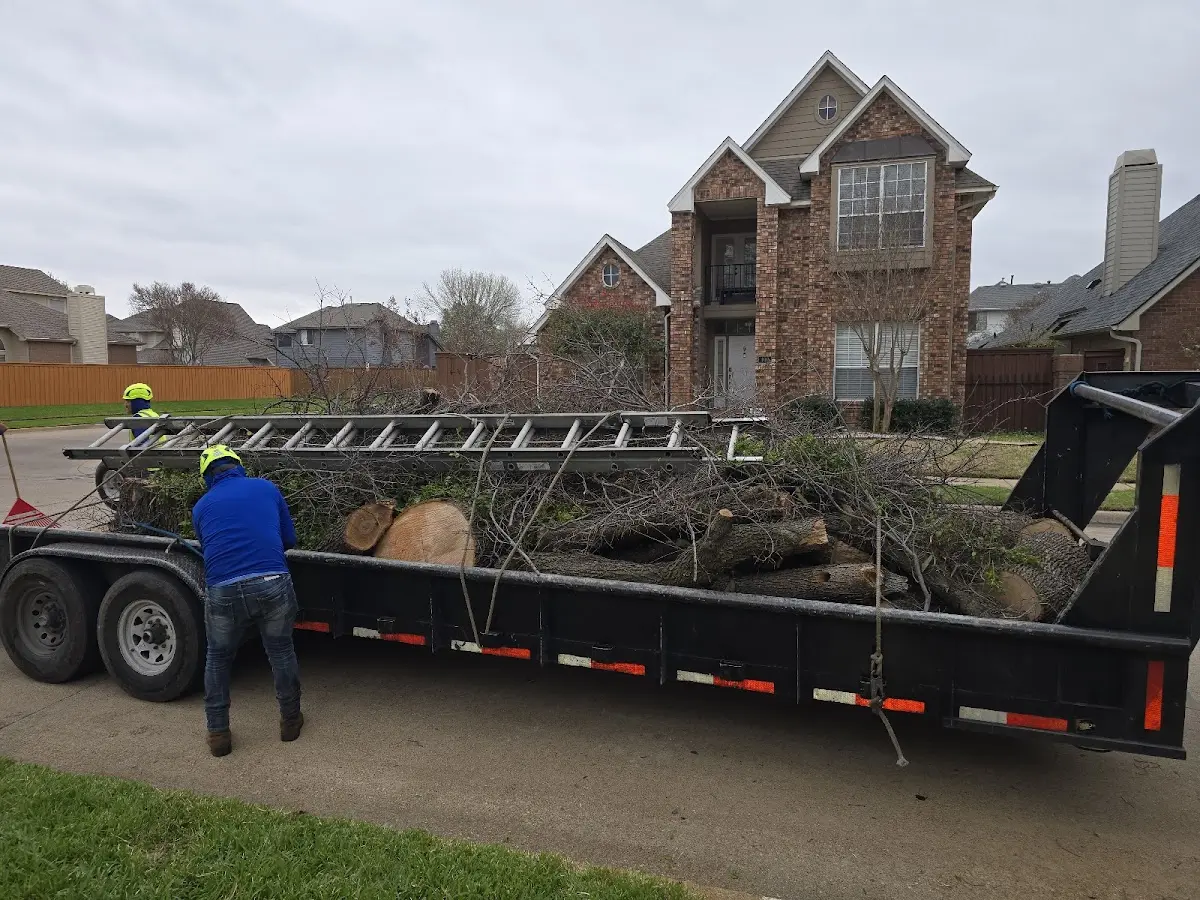 Expert Lot Clearing with proper safety equipment in Sterrett